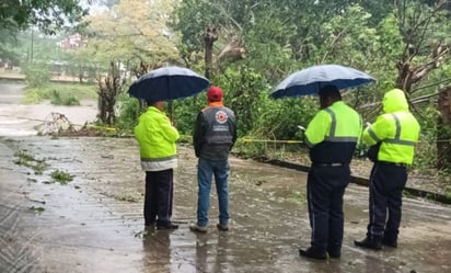 Frente frío 8 deja daños en 19 municipios de Veracruz