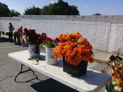 Deja buena derrama venta de día de muertos a floristas 