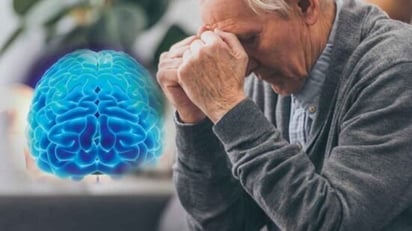 Alimentación en omega 3 es recomendable para la prevención del Alzheimer