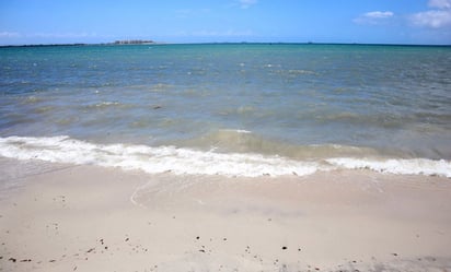 Tras paso de “Norma”, reportan altos niveles de contaminación en playas de La Paz, BCS