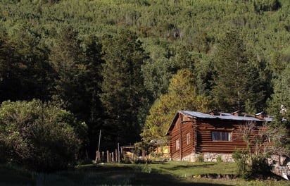 Al menos 180 cabañas irregulares en Arteaga