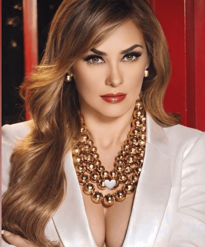 Aracely Arámbula ha interpuesto dos acciones legales contra Luis Miguel, según su abogado