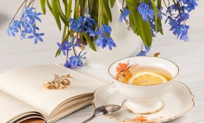 Prueba esta infusión natural a base de una flor para relajar y curar la gripe