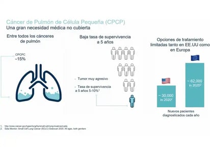 Cáncer de pulmón de célula pequeña: 20 años a la espera de nuevas opciones de tratamiento