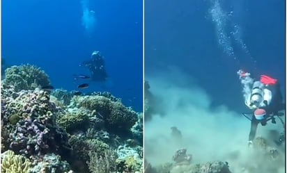 Así sorprendió un terremoto a un grupo de buzos en el fondo del mar: VIDEO: 
