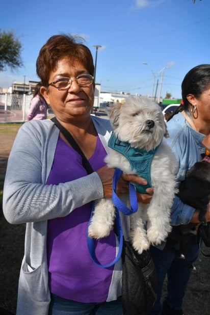 PN toma acciones para prevenir ricketssia y cuidado de mascotas