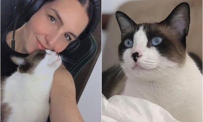 Acusa a su mamá de regalar a su gatita 'Kyra' mientras estaba de viaje y la tunden por exhibirla