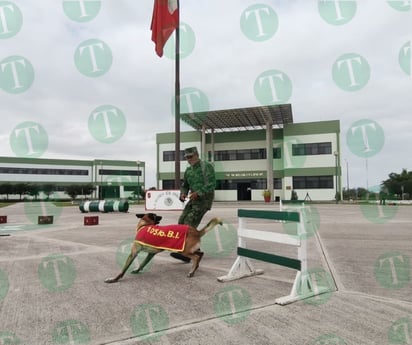 105 Batallón de Infantería realiza labores de adiestramiento canino