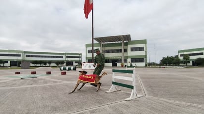 105 Batallón de Infantería realiza adiestramiento canino