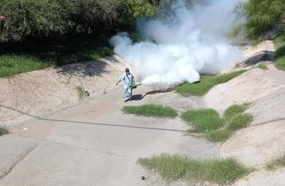 SSa confirmó 6 casos positivos de dengue; ya se tomaron acciones 