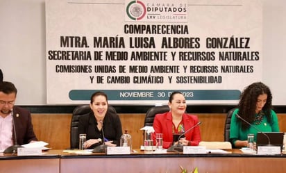 Diputados arremeten contra titular de Semarnat por Tren Maya