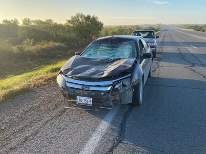 Conductor embiste a un caballo en la carretera 2