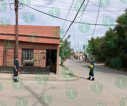 Camión de Paquetería Castores arranca cables de luz en la Del Río