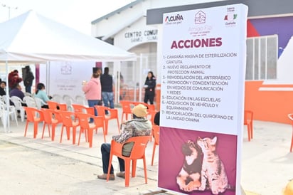 El Gobierno Municipal inicia una campaña y acciones en favor del cuidado de las mascotas