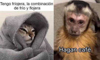 Los memes más ingeniosos para 'entrar en calor' este Frente Frío 16