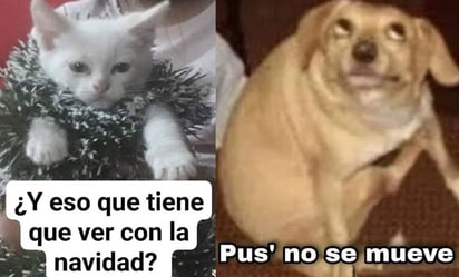 Memes 'sacuden' las redes sociales tras microsismos en CDMX