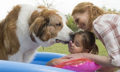 HBO Max: esta es la película que demuestra que el perro es el mejor amigo del hombre