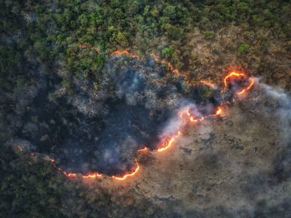 Coahuila aprobó una nueva ley que dificulta las inspecciones, provoca incendios y permite quemas negligentes en zonas boscosas