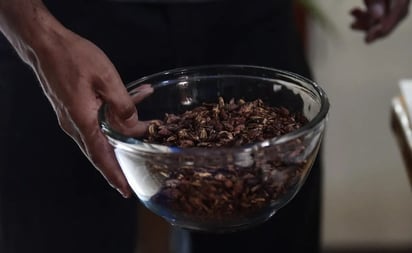 Adorados por los aztecas, chapulines asoman como alternativa a desnutrición infantil en México