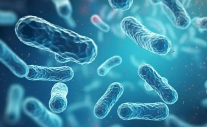 Qué tan peligrosa puede ser la salmonella, expertos de la salud responden