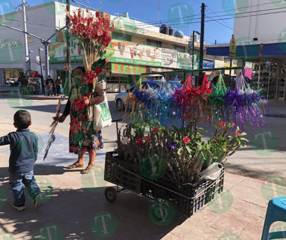 Comercio informal aumenta y las ganancias bajan 