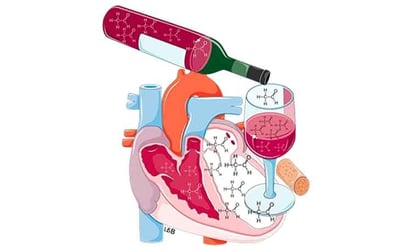 ¿Efectos tanto beneficiosos como perjudiciales del alcohol en el riesgo cardiovascular?