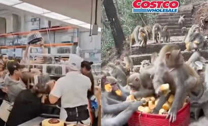 ¿Guerra de los pasteles en Costco? Videos y memes muestran furor de los clientes