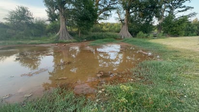 Diputada llama a rescatar al Río Sabinas de la contaminación