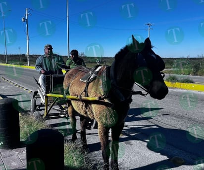 Monclovense utiliza su carreta como herramienta de trabajo y medio de transporte