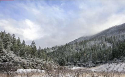 Prevén nevadas en Año Nuevo