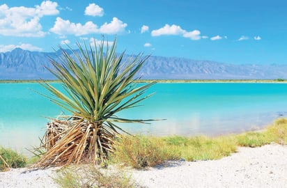 Cuatro Ciénegas; elección perfecta de los turistas para el Fin de Año