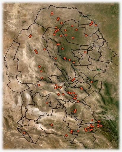 Bajaron a la mitad incendios forestales en Coahuila