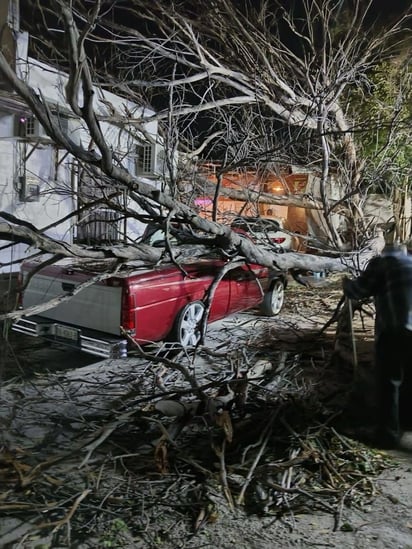 Fuertes vientos de más de 80 km/h dejaron daños en la ciudad