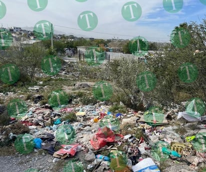 Calles y arroyos de los sectores vulnerables llenos de basura 