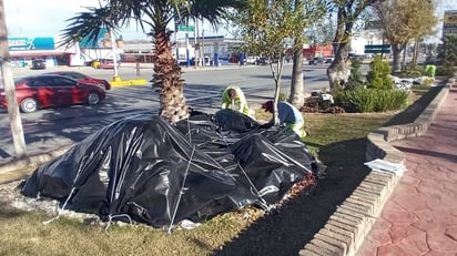 Municipio resguardan zonas verdes por bajas temperaturas intensas.