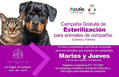 Habrá campaña de esterilización para caninos y felinos