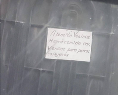 Saltillo: Se reportan amenazas de envenenamiento a perros sin hogar en la colonia Praderas