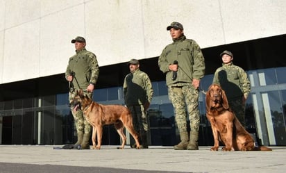 ¡Gracias por todo! Marina jubila a Max y Ecko, perritos rescatistas