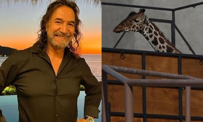 Marco Antonio Solís aplaude el rescate de la jirafa Benito