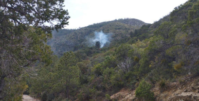 Controlan rápidamente un incendio en la Sierra de Zapalinamé