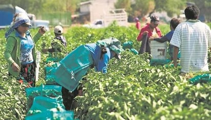 Muere hija de jornaleros ahogada en estanque de Culiacán, Sinaloa