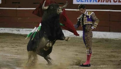 Jueza ordena suspensión inmediata de corridas de toros en la Plaza México