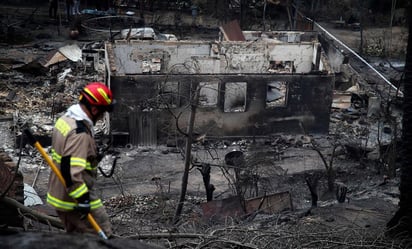 Incendios en Chile destruyen el Jardín Botánico de Viña del Mar; mueren empleada junto a su familia