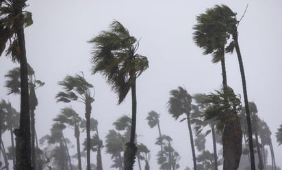 Tormentas en California dejan un muerto y miles de usuarios sin electricidad