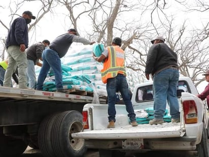 20 se registran para subsidio de sorgo forrajero