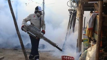 Fumigan casa llena de garrapatas en Frontera