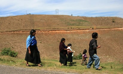 Propone PRI reforma de apoyo a padres o madres solteros de comunidades indígenas o afromexicanas