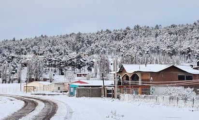 Nieve cubre de blanco Chihuahua; cierran tramos carreteros