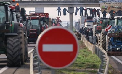 Organizaciones piden involucrar más a agricultores en las políticas de la Unión Europea