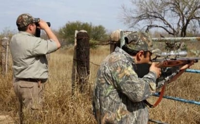 Venado cola blanca de Coahuila atrae a miles de extranjeros